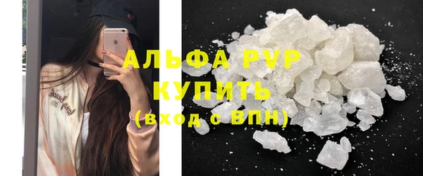 прущие грибы Верхнеуральск
