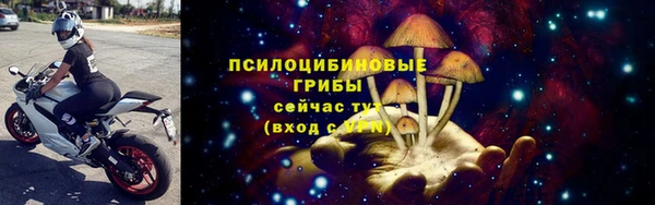 дживик Волоколамск