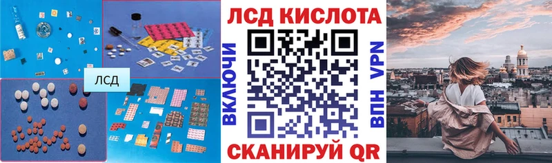 блэк спрут как зайти  Геленджик  Лсд 25 экстази кислота 