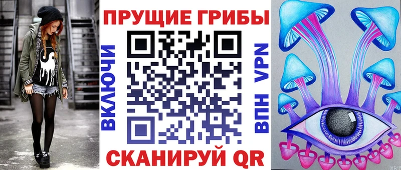 Псилоцибиновые грибы Psilocybe  Геленджик 